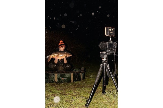 Fox Halo Photography Light