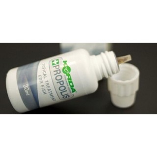 Korda Propolis Carp Treatment 