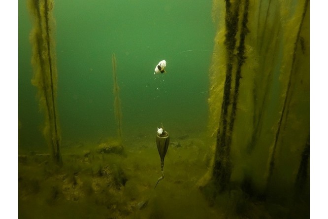 Fox Edges Zig Float Kit