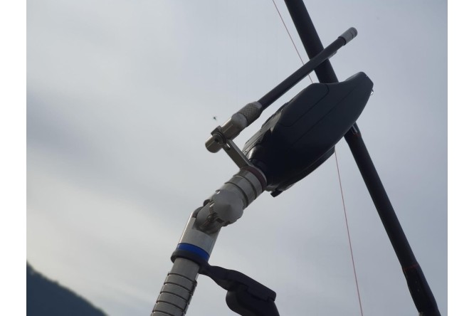 MA07 Carbon Snag Standard e XL