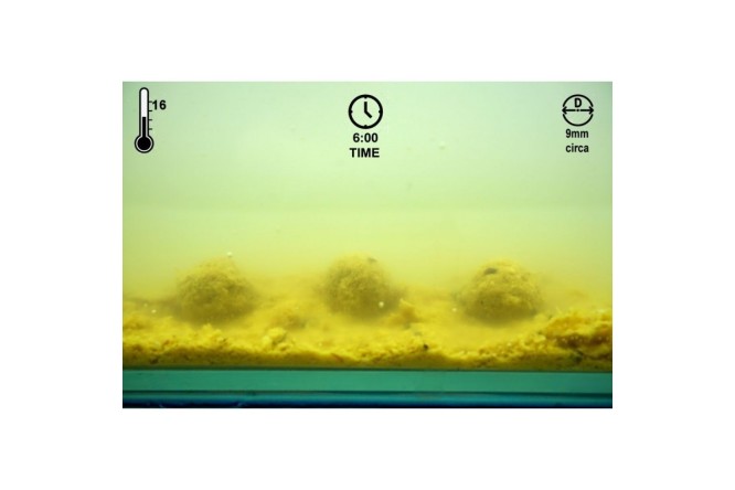 Boilies Banana & Mega Spice