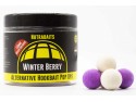 Winter Berry Pop Ups 