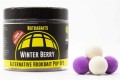 Nutrabaits Winter Berry Alternative Hookbait Pop Up Range