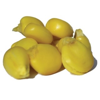 Rod Hutchinson Legend Particles Hugecorn Monster crab 2