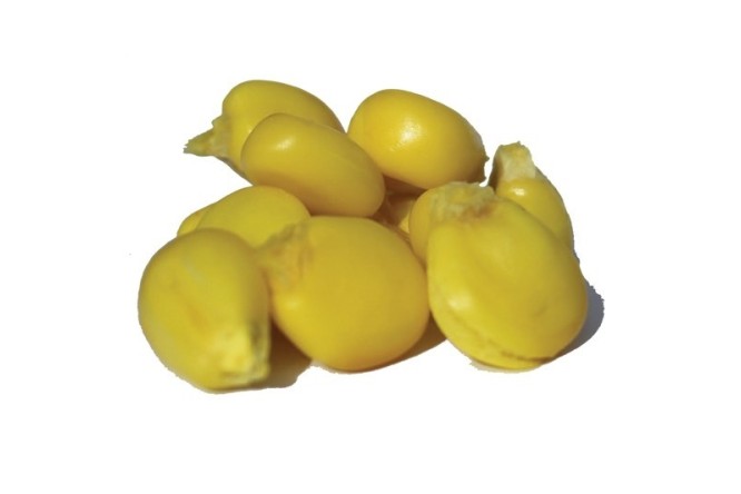 Rod Hutchinson Legend Particles Hugecorn Monster crab