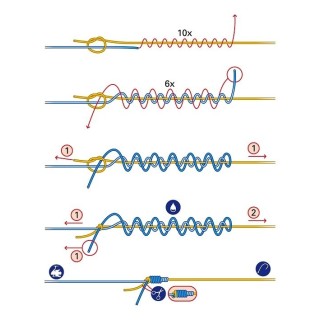 PB Mussel 2-Tone 45 lb 2