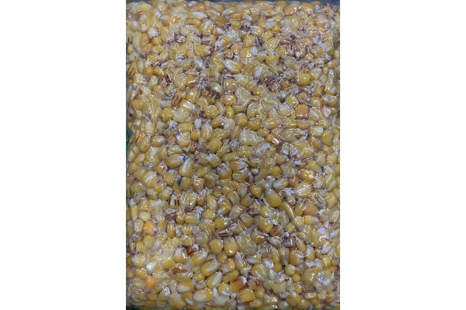 Carpfishingonline Cooked Corn