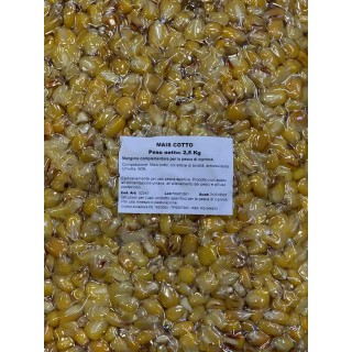 Carpfishingonline Cooked Corn 2