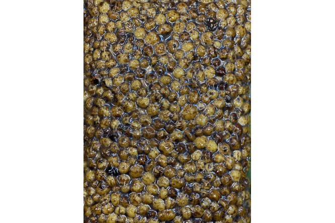 Carpfishingonline Tiger Nut Cotte