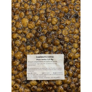 Carpfishingonline Tiger Nut Cotte 2