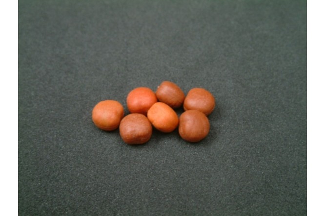 Enterprise Tackle Maple Peas