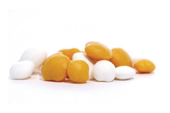 Enterprise Tackle Lupine Beans Large