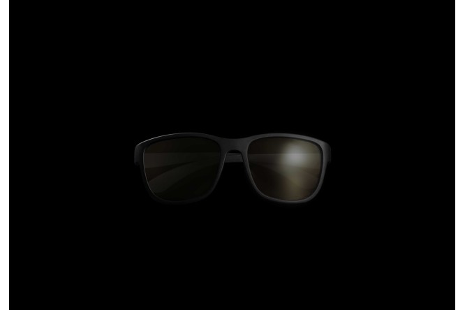 RidgeMonkey Pola-Flare Seeker 