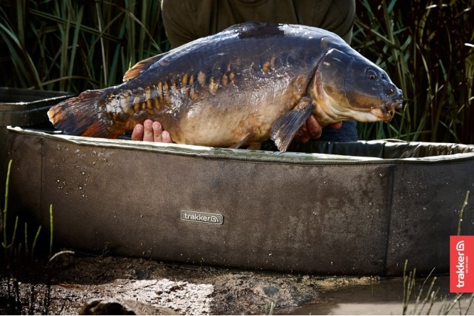Trakker Sanctuary Compact Oval Crib