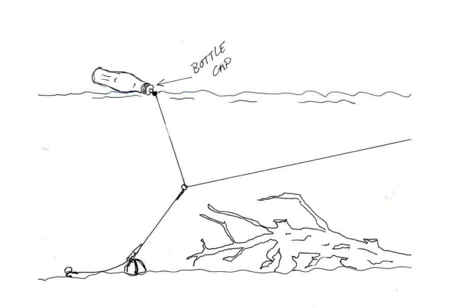 PB Buoy Big Eye Swivel Bottle Cup 