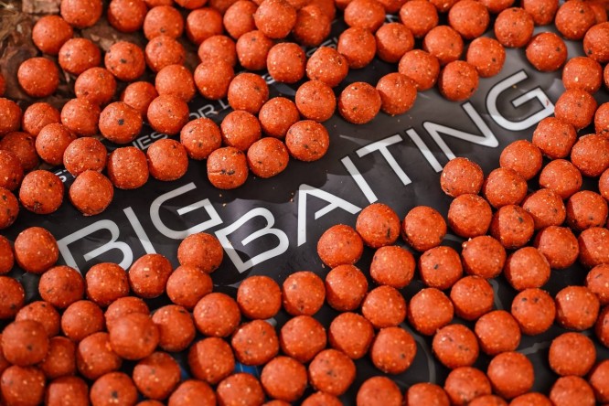 Any Water Big Baiting B.L.B 20mm