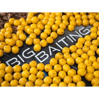 Any Water Big Baiting Banana & Scopex 2