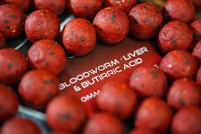 Any Water Top Boilies BLB - Bloodworm Liver and Butyric Acid