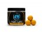 Any Water Pop Ups Boilies Caramel Nut 14/20 mm