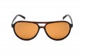 Korda Sunglasses Aviator Tortoise Frame / Brown 
