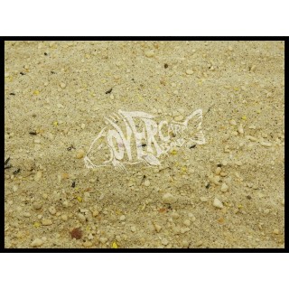 Over Carp Baits Over White Energy Blend Birdfood