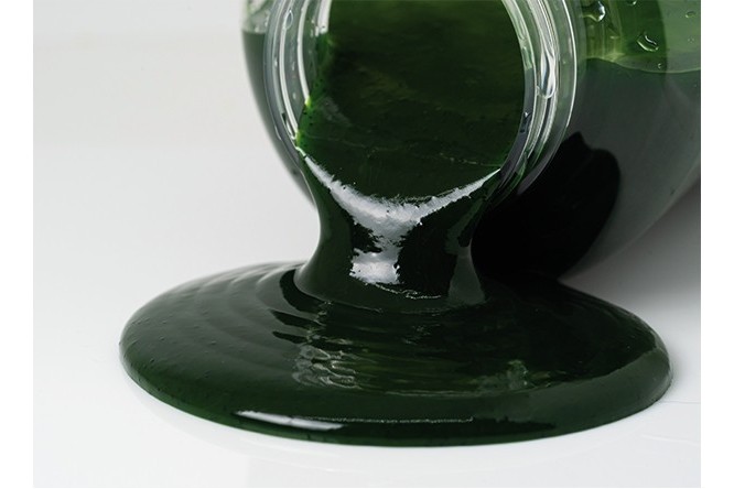 Over Carp Baits Green Lipped Mussel Liquid Extract 