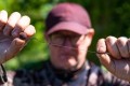 Korda Longshank Beaked Barbless