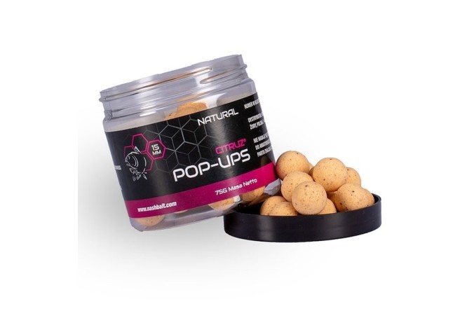 Nash Citruz Pop Up Natural 