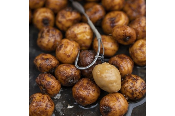  Nash Pinpoint Fang X