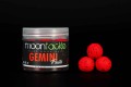 Moontackle Hard Hook Baits 24 mm