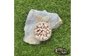 Pop-up Baits SNAILS POP-UP Tigernut