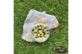 Pop-up Baits GRUB WAFTER Oyster Green & GLM