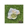 Pop-up Baits GRUB WAFTER Oyster Green & GLM