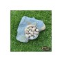 Pop-up Baits GRUB POP-UP Tigernut