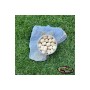Pop-up Baits DUMBELL WAFTER Coconut & Banana