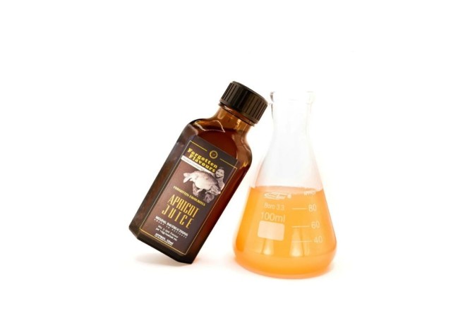 Forgotten Flavours Apricot Juice Flavour Concentrate