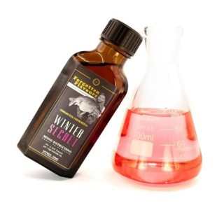Forgotten Flavours Winter Secret Flavor Concentrate