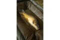 Fox Carpmaster Welded Cradle