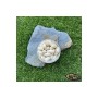 Pop-up Baits GRUB POP-UP Coconut & Banana