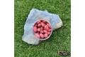 Pop-up Baits GRUB POP-UP Garlic & Robin Red Haiths