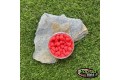 Pop-up Baits SNAILS POP-UP Crayfish