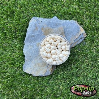 Pop-up Baits SNAILS POP-UP eXtreme Insect