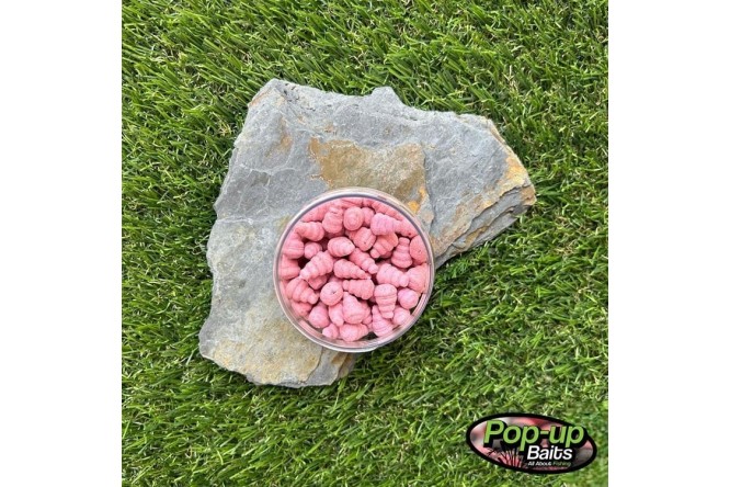 Pop-up Baits SNAILS POP-UP Spicy Maple