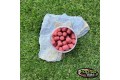 Pop-up Baits DUMBELL WAFTER Garlic & Robin Red Haiths