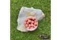 Pop-up Baits DUMBELL WAFTER Spicy Maple