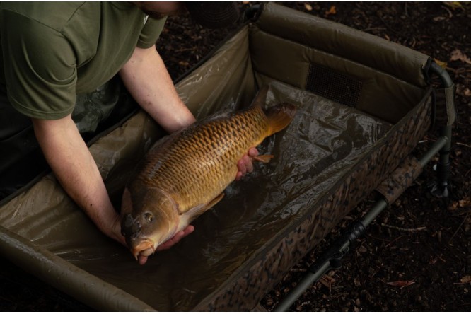 Solar SP C-Tech Quick Up Cradle 