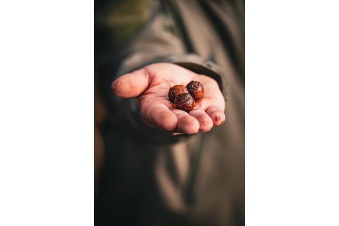 Armored Bait King 20 mm vegetable fiber boilies for shrimp and turtle control