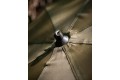 Fox 60" Brolly