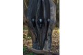 Solar Worldwide 3+2 Rod Holdal 12 ft 