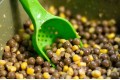 Korda - Bait Scoop